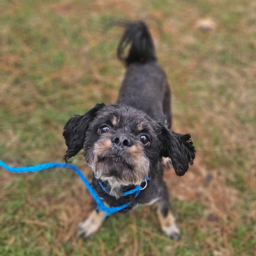 Rascal Flatts thumbnail 4