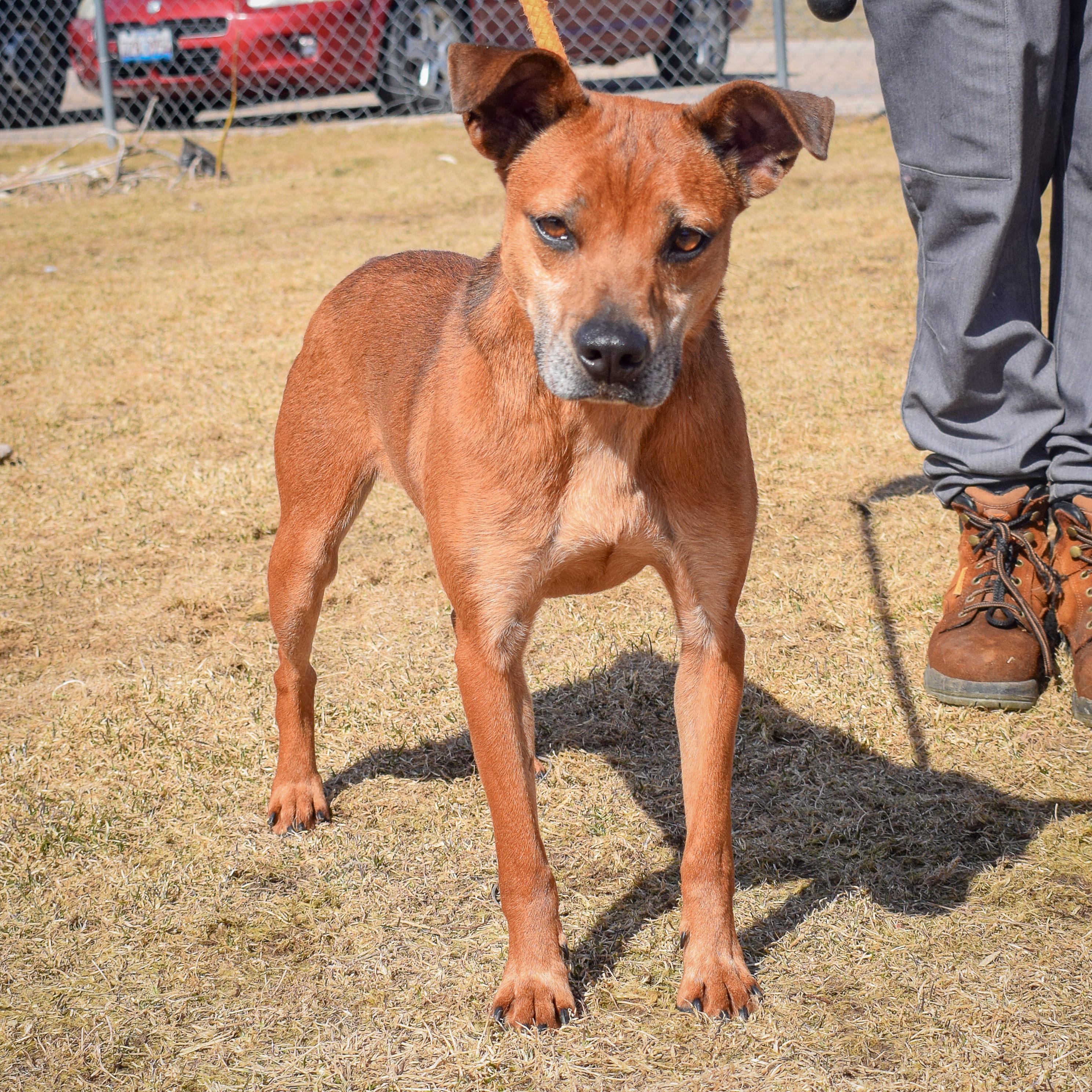 Cooper photo 2