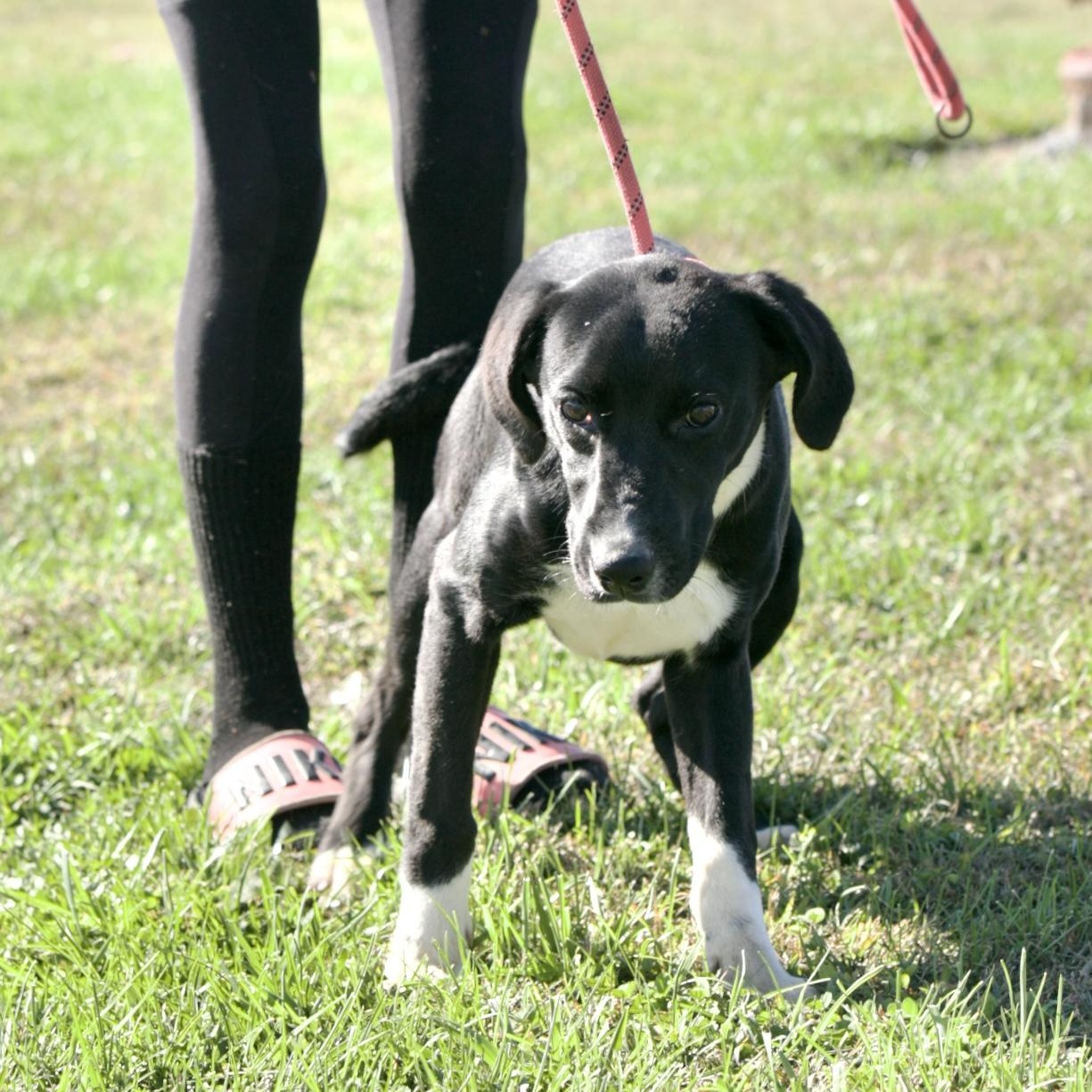 Eastland thumbnail 2