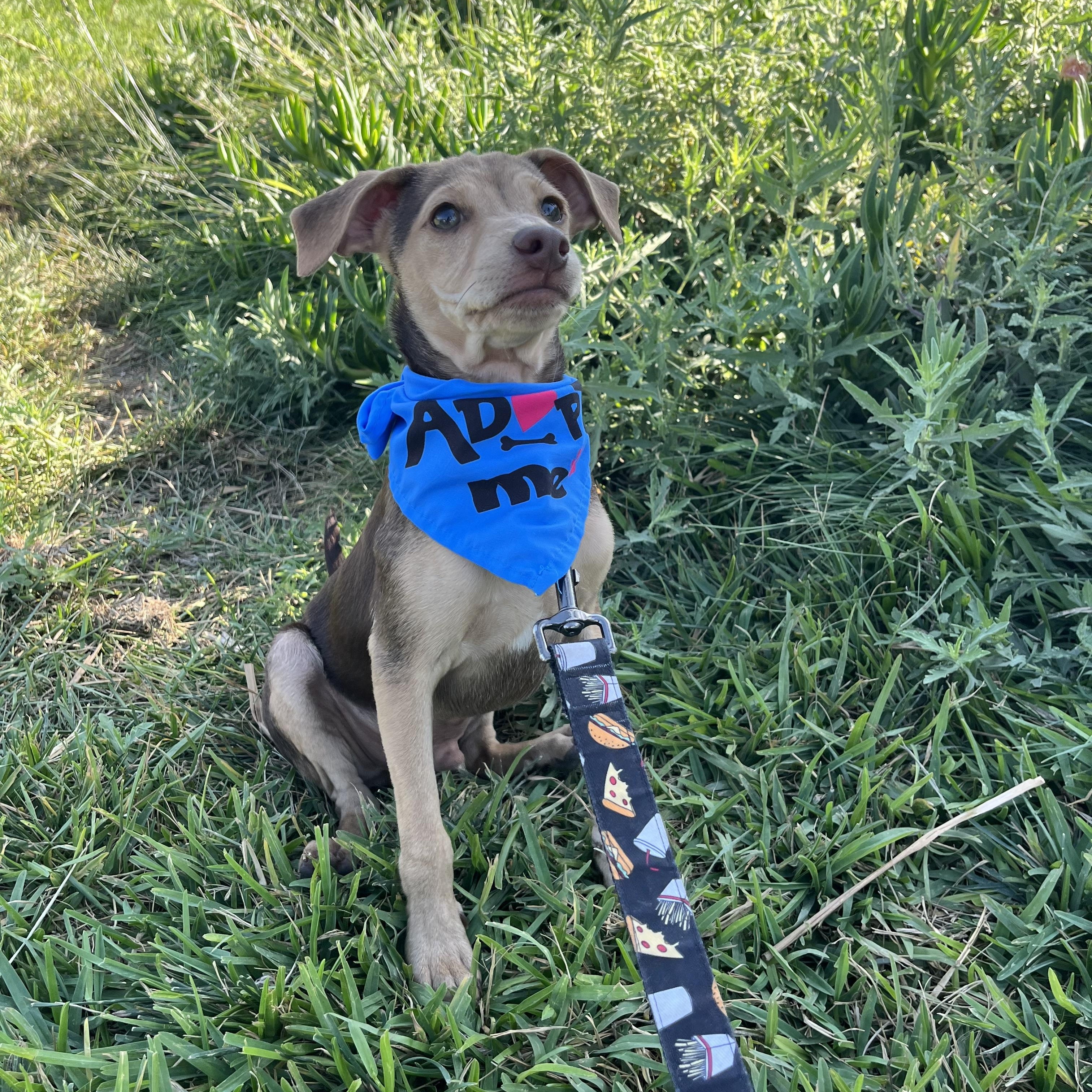 Milo