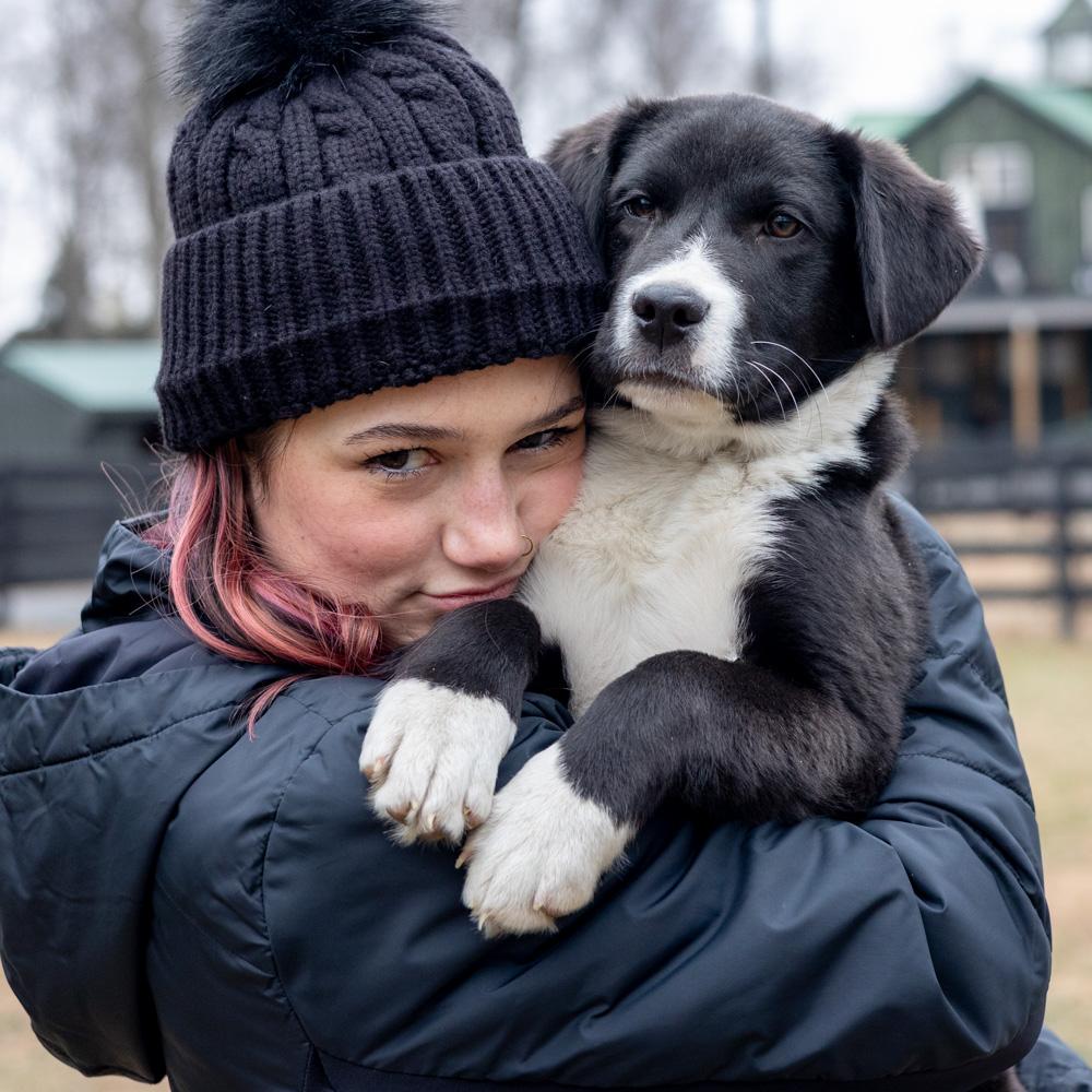 Enlarge Brooks  (Male)   avail  1/10, an adopted mixed breed in West Grove, PA image 3/6