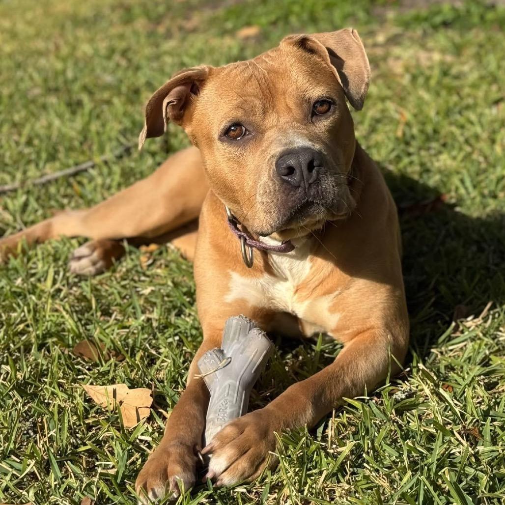 Kally Kanal — thumbnail 6