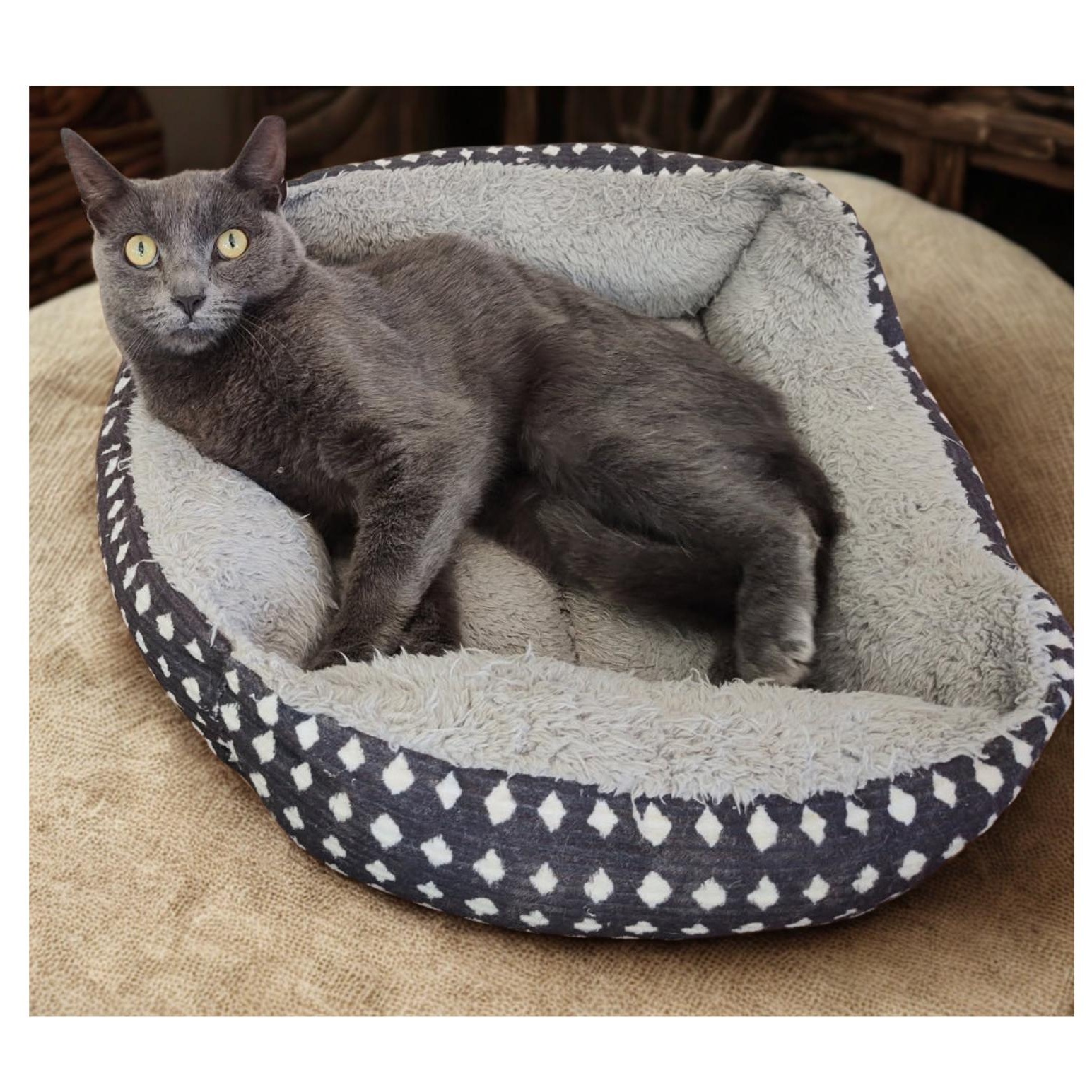 Enlarge SLATOR, a Adoptable Russian Blue in Charlotte, NC image 2/4