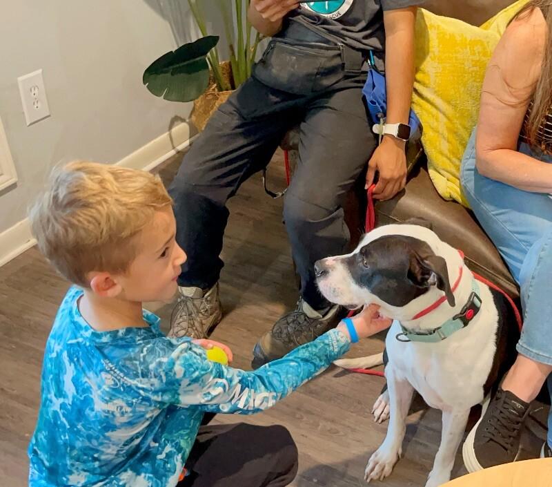 Panda the perfect doggy pal — thumbnail 2