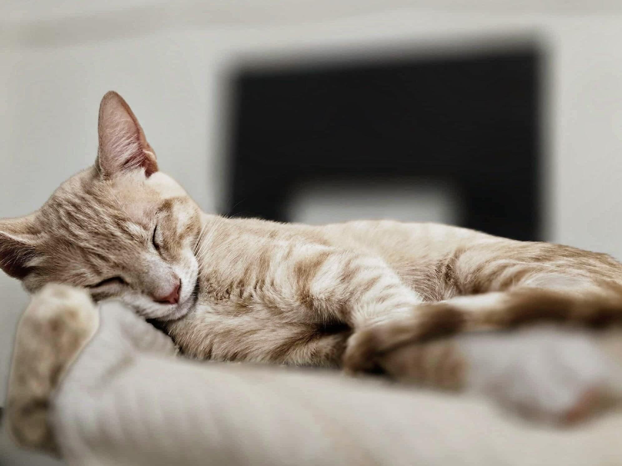 Butters photo 5