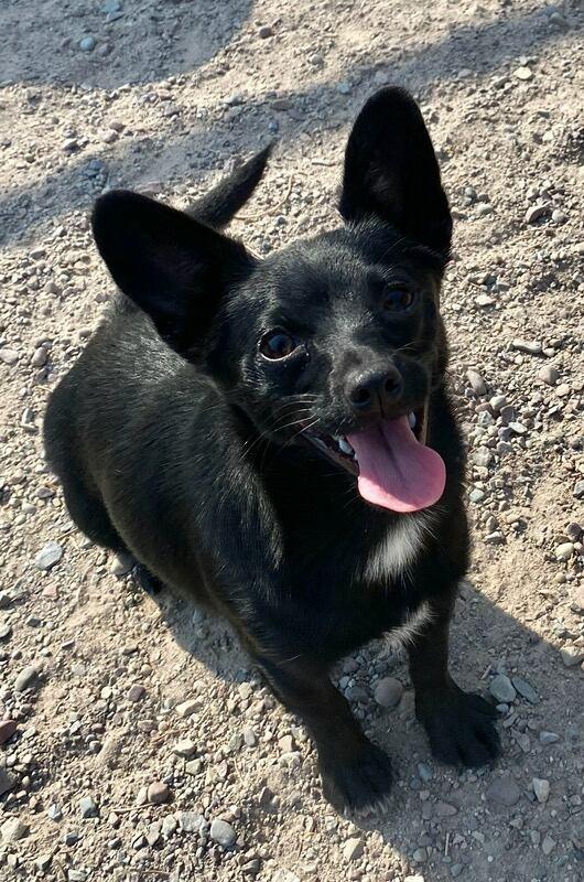 Lulu