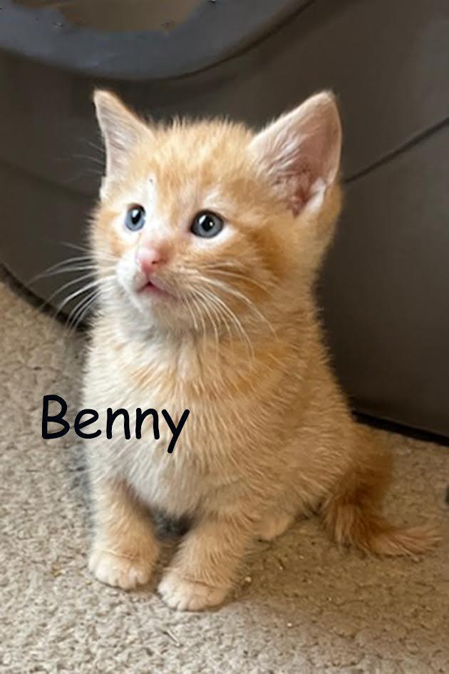 Benny 2