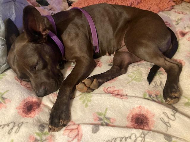 Skye