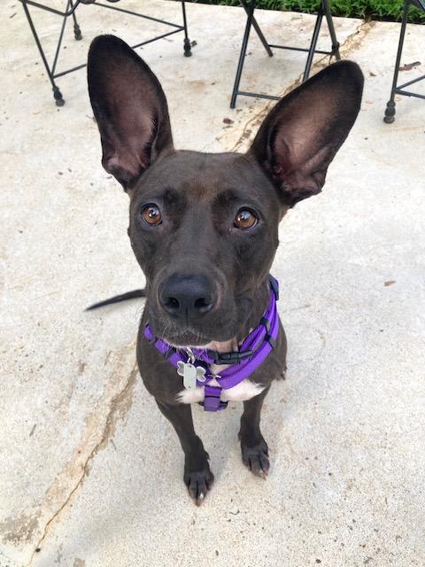 Skye