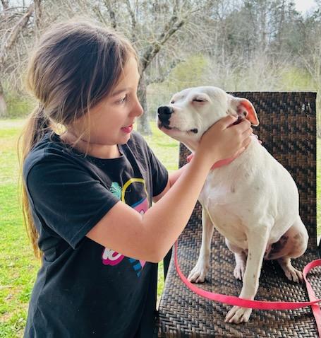 Whitey, a Adopted mixed breed in Jefferson, TX image 1/6