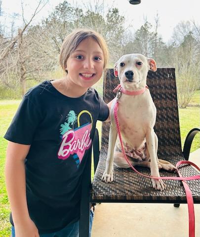 Whitey, a Adopted mixed breed in Jefferson, TX image 2/6