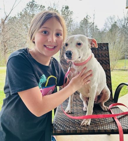 Whitey, a Adopted mixed breed in Jefferson, TX image 3/6