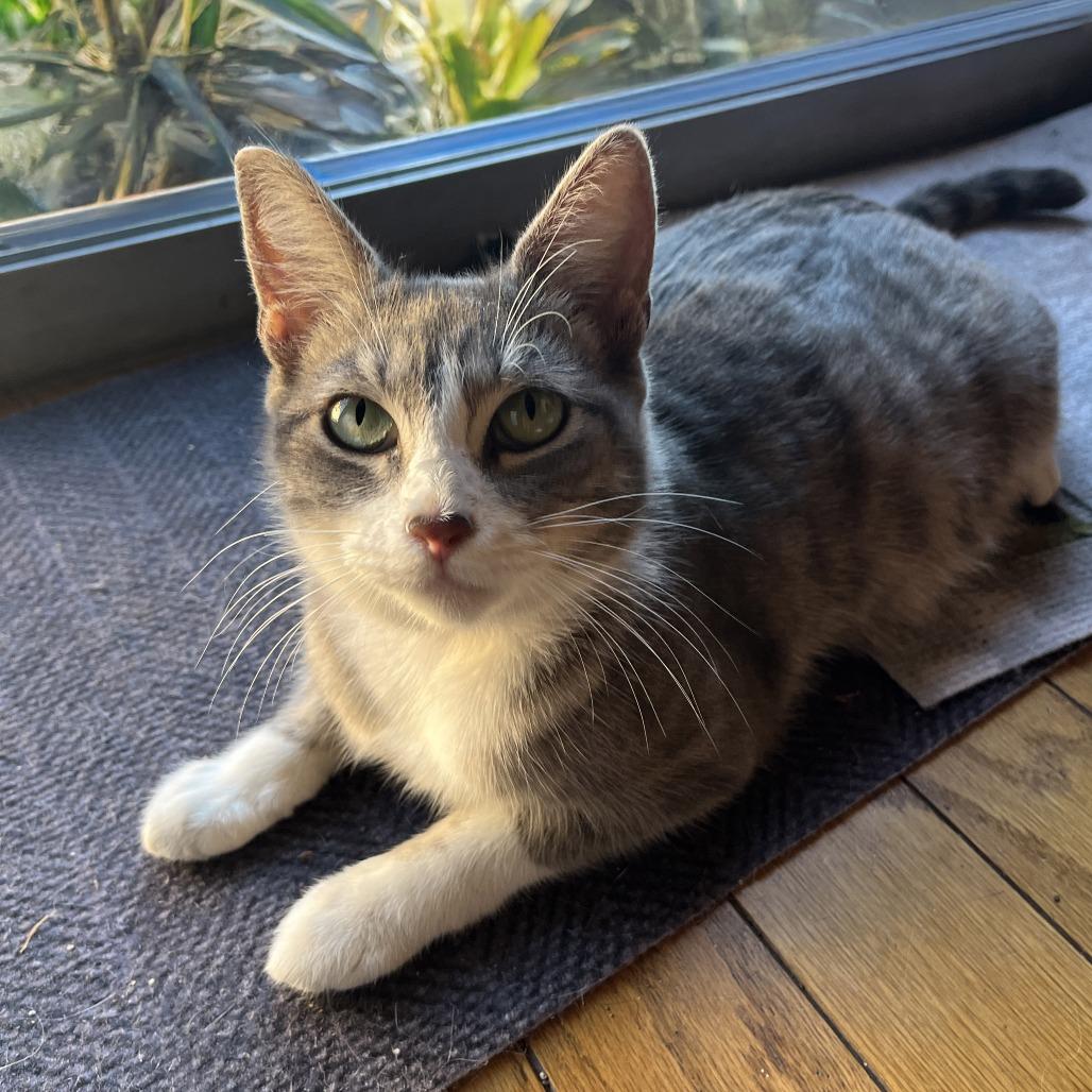 Mulan — thumbnail 2