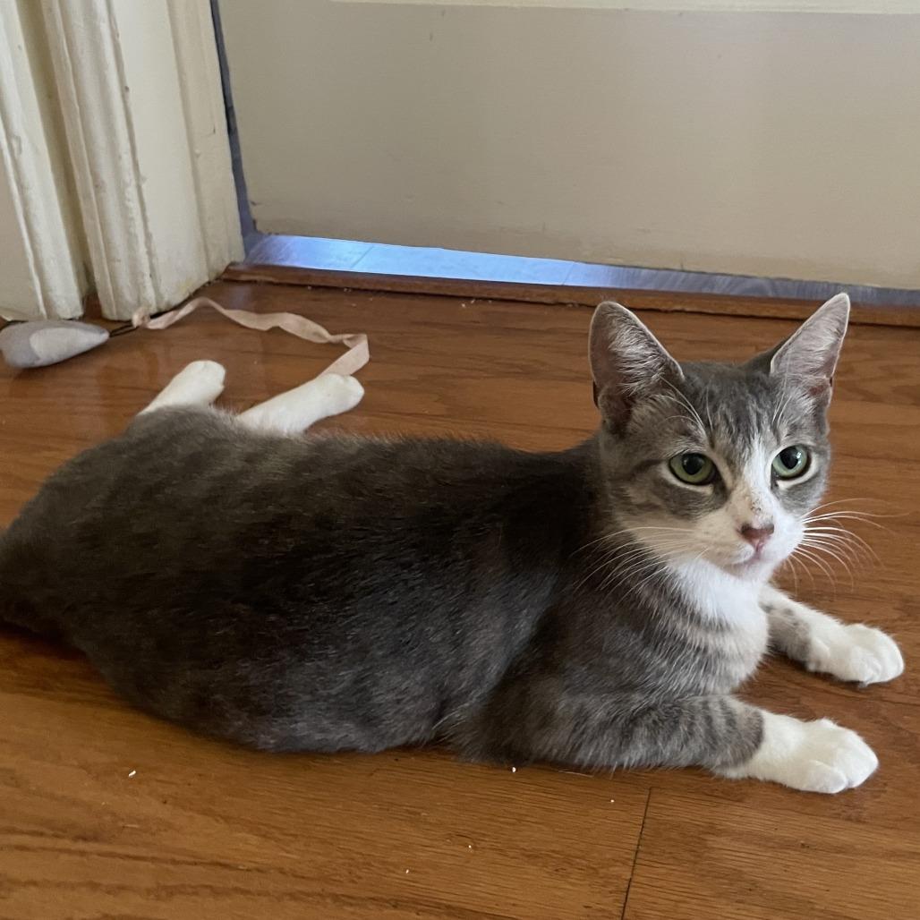 Mulan — thumbnail 3