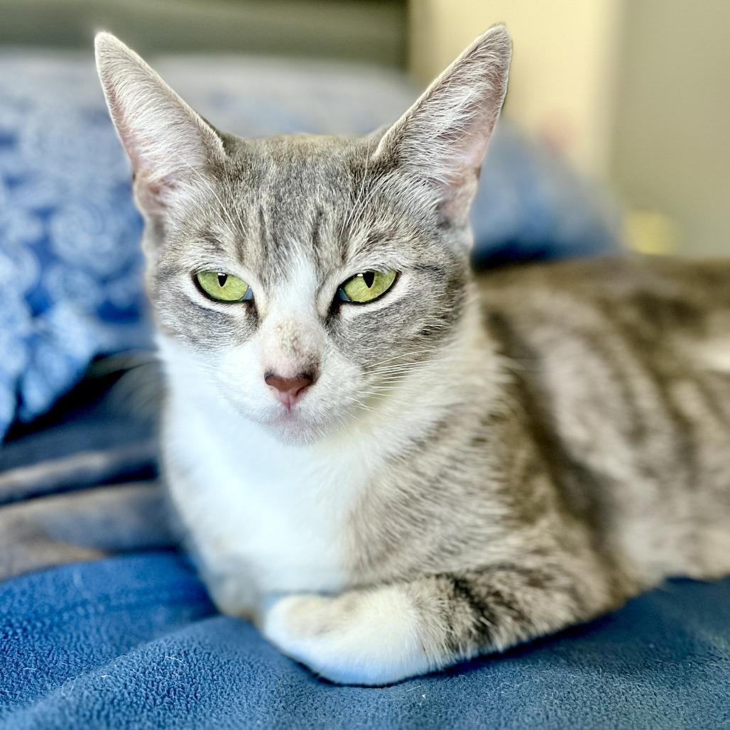 Mulan — thumbnail 4