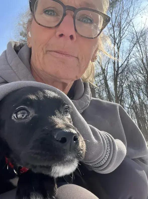 Monroe, Adoptable, Puppy Male Mixed Breed.