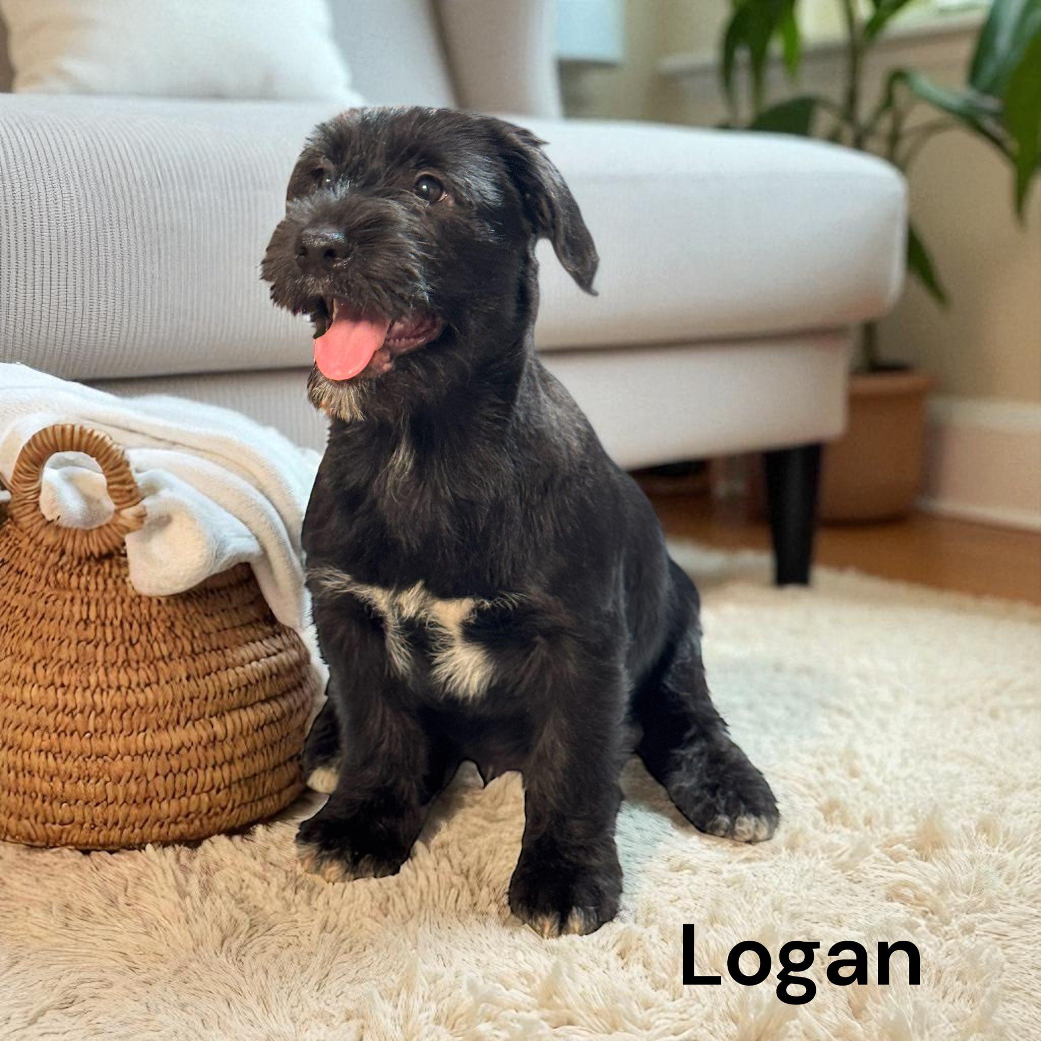 Logan