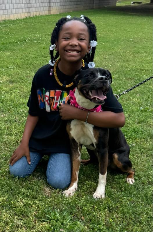 Sundae, Adopted, Adult Female Mixed Breed.