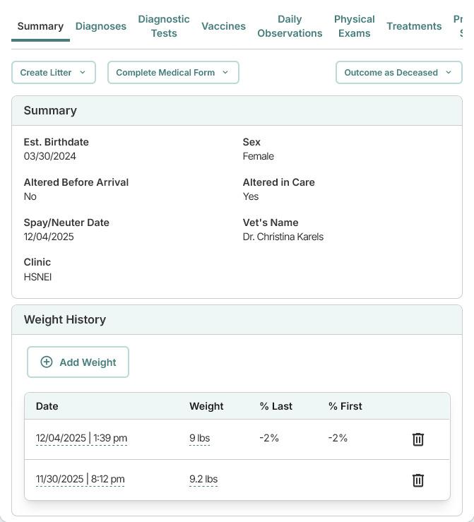 Enlarge Marceline, a Adoptable mixed breed in Decorah, IA image 1/5