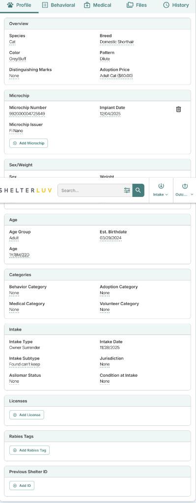 Enlarge Marceline, a Adoptable mixed breed in Decorah, IA image 5/5