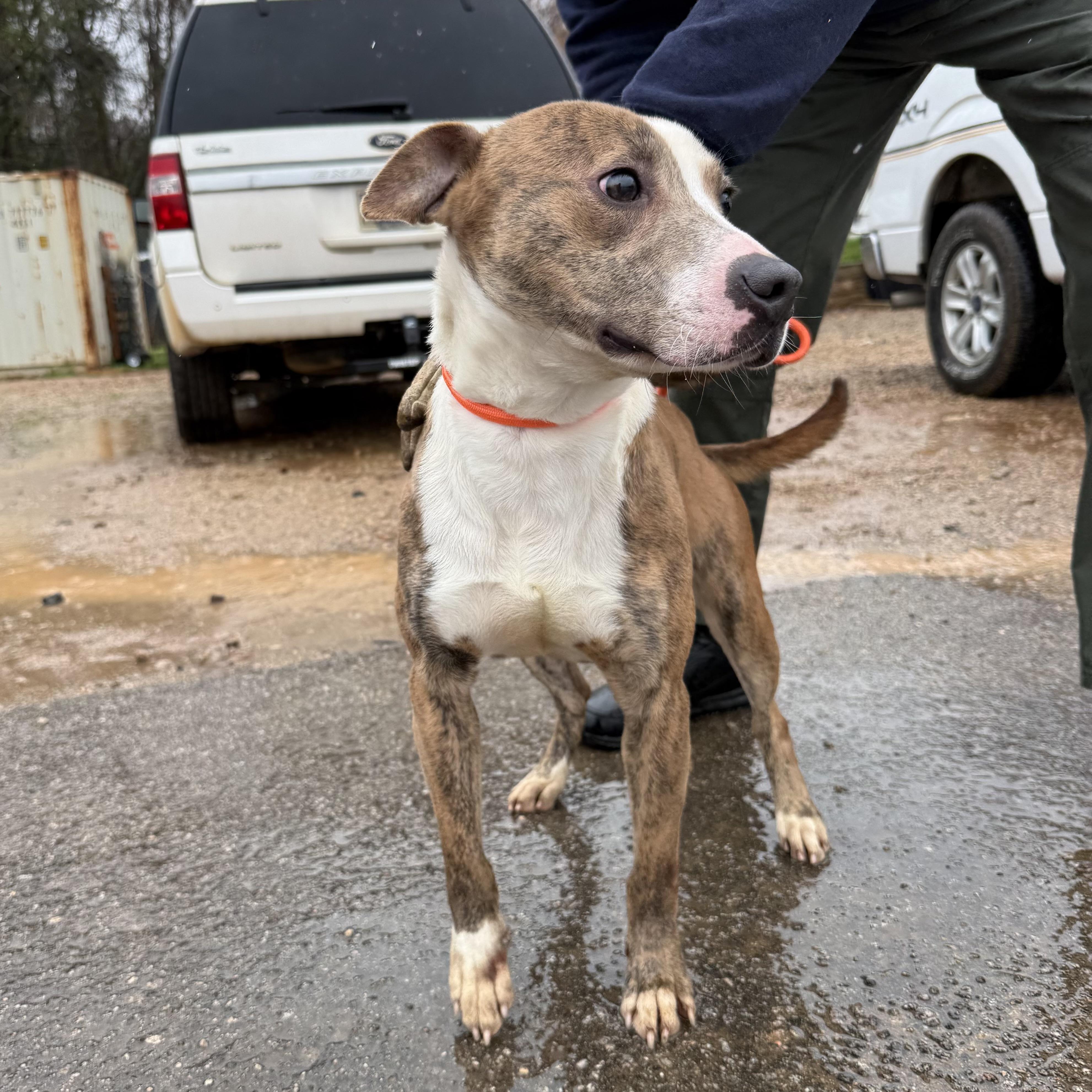 Nalgene — thumbnail 5