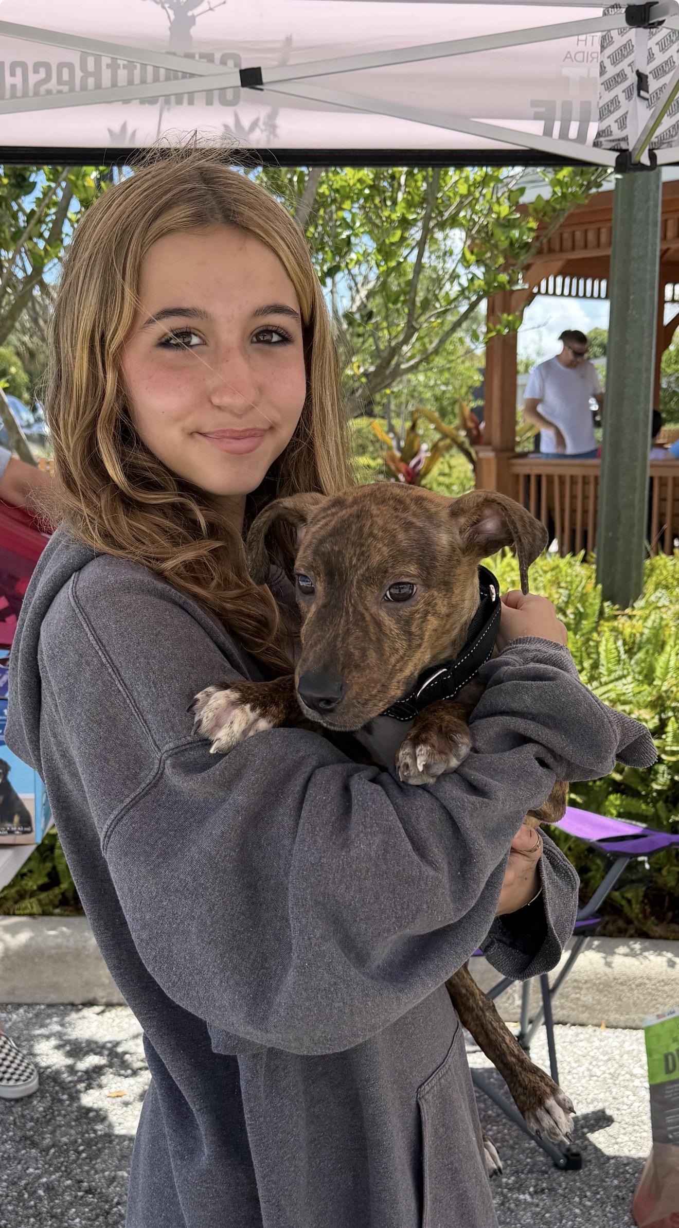 Enlarge King, a ADOPTABLE mixed breed in Palm springs, FL image 3/3