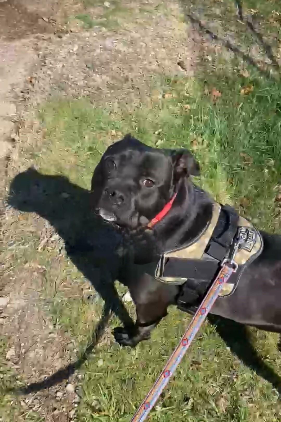 Smudge