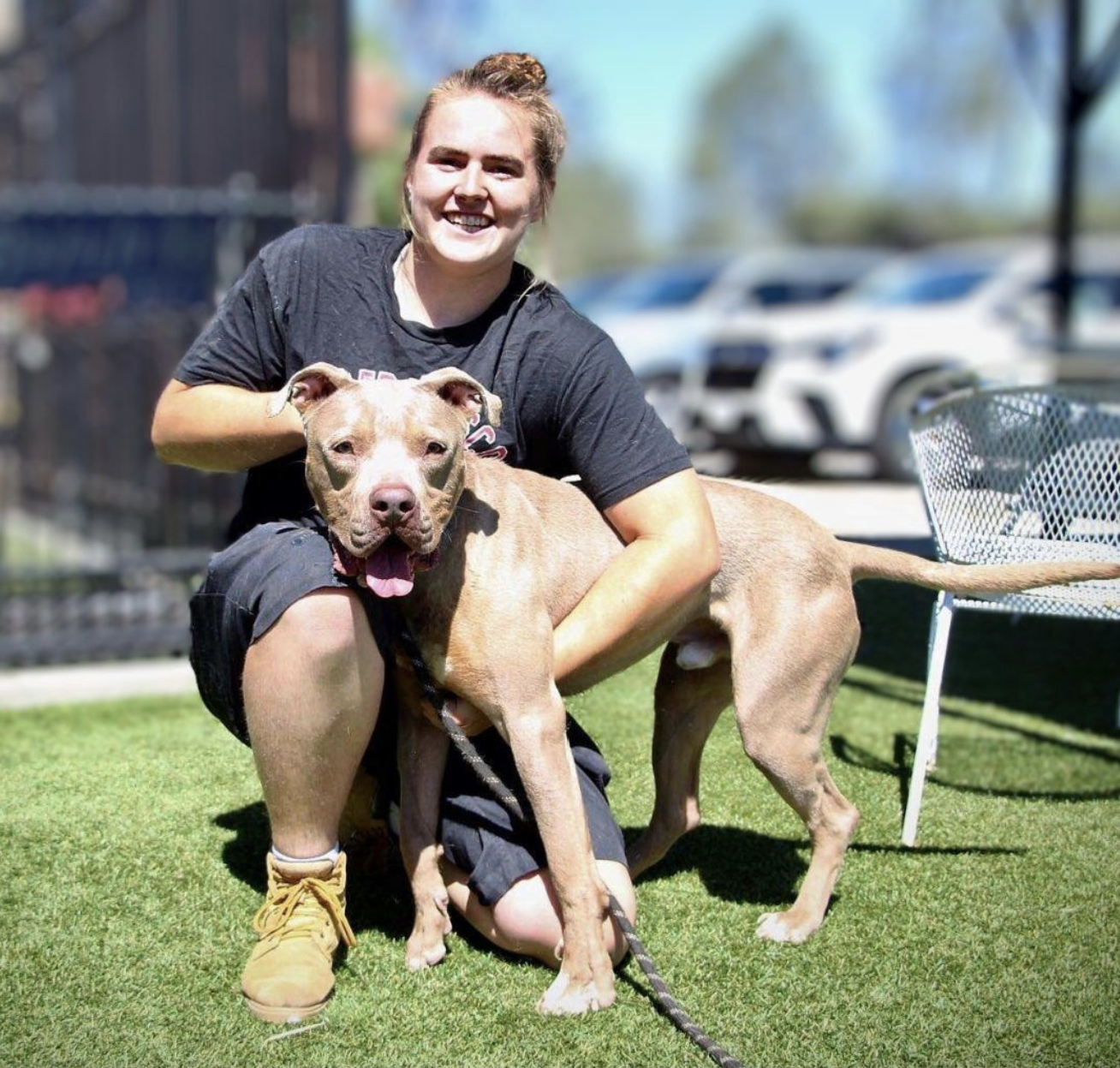 Enlarge Yoda, a Adoptable Pit Bull Terrier in Los Angeles , CA image 3/6