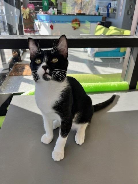 Slater — thumbnail 2