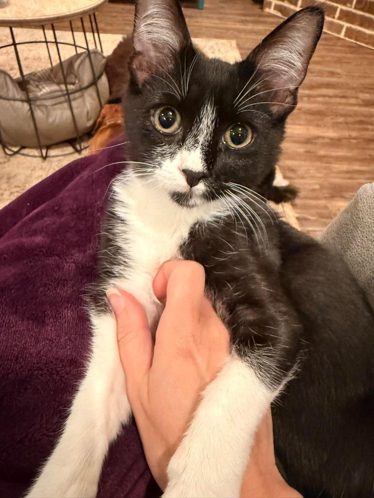 Slater — thumbnail 3