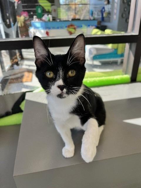 Slater — thumbnail 4