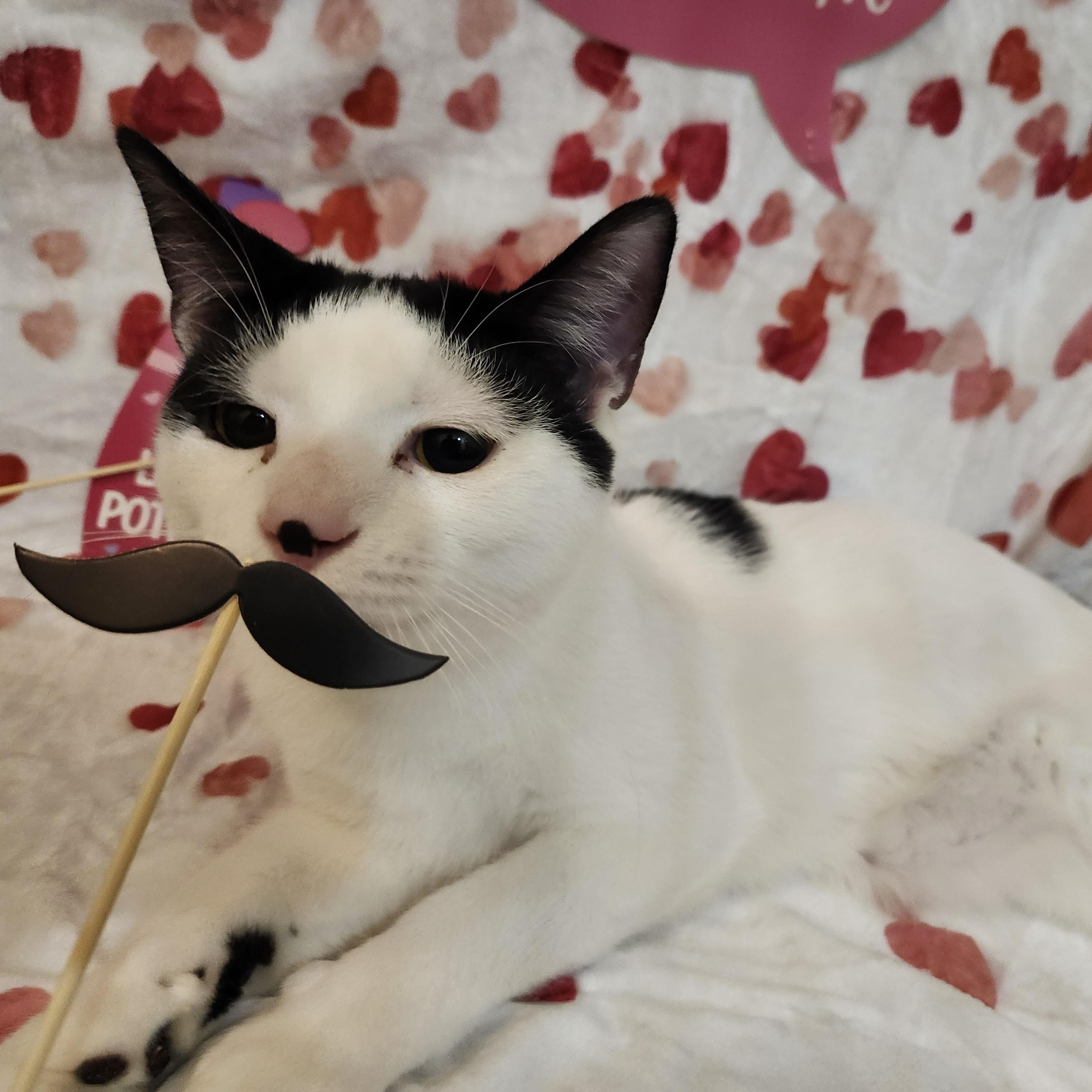 Ryan Reynolds — thumbnail 3