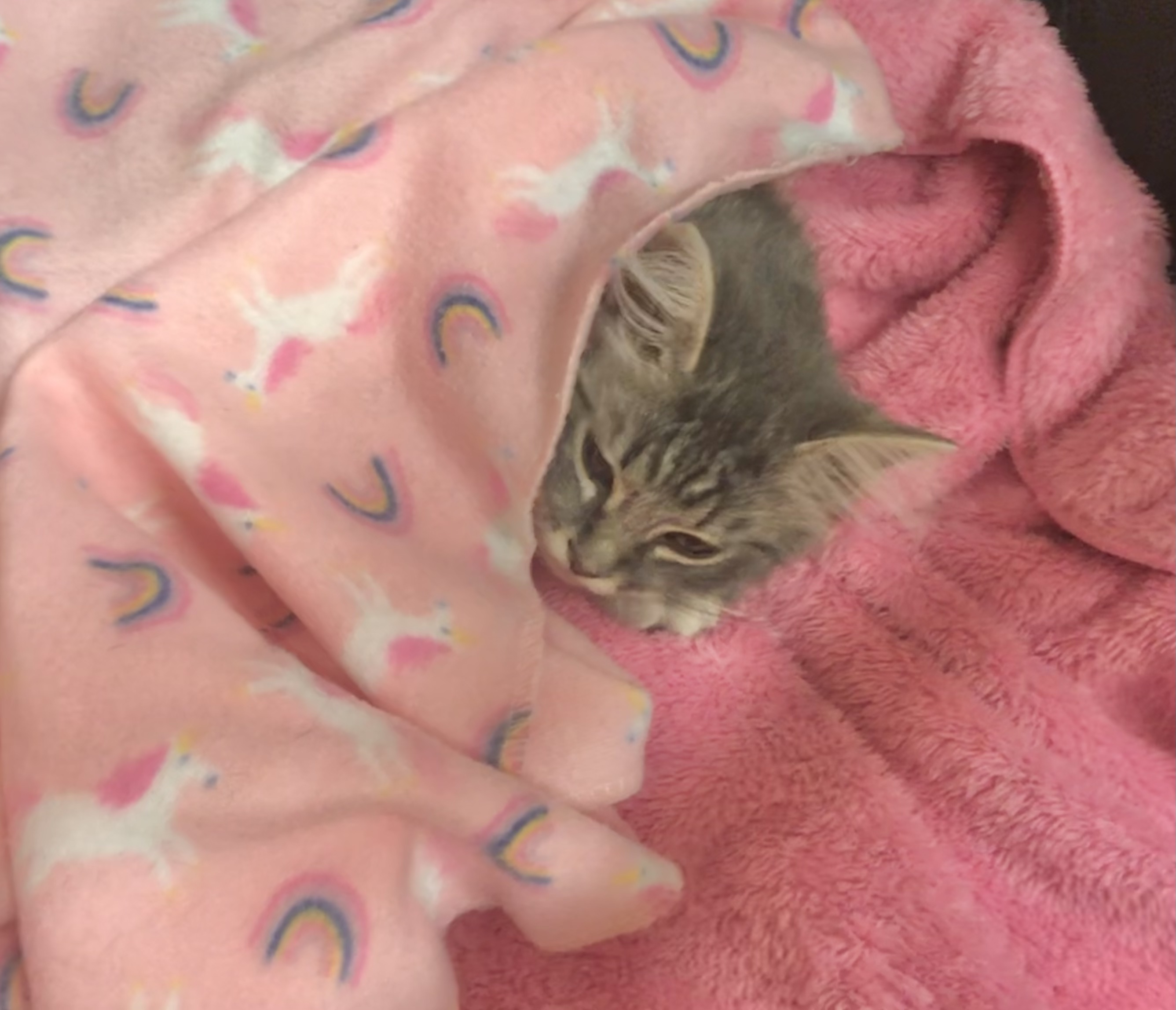 Sterling — thumbnail 4