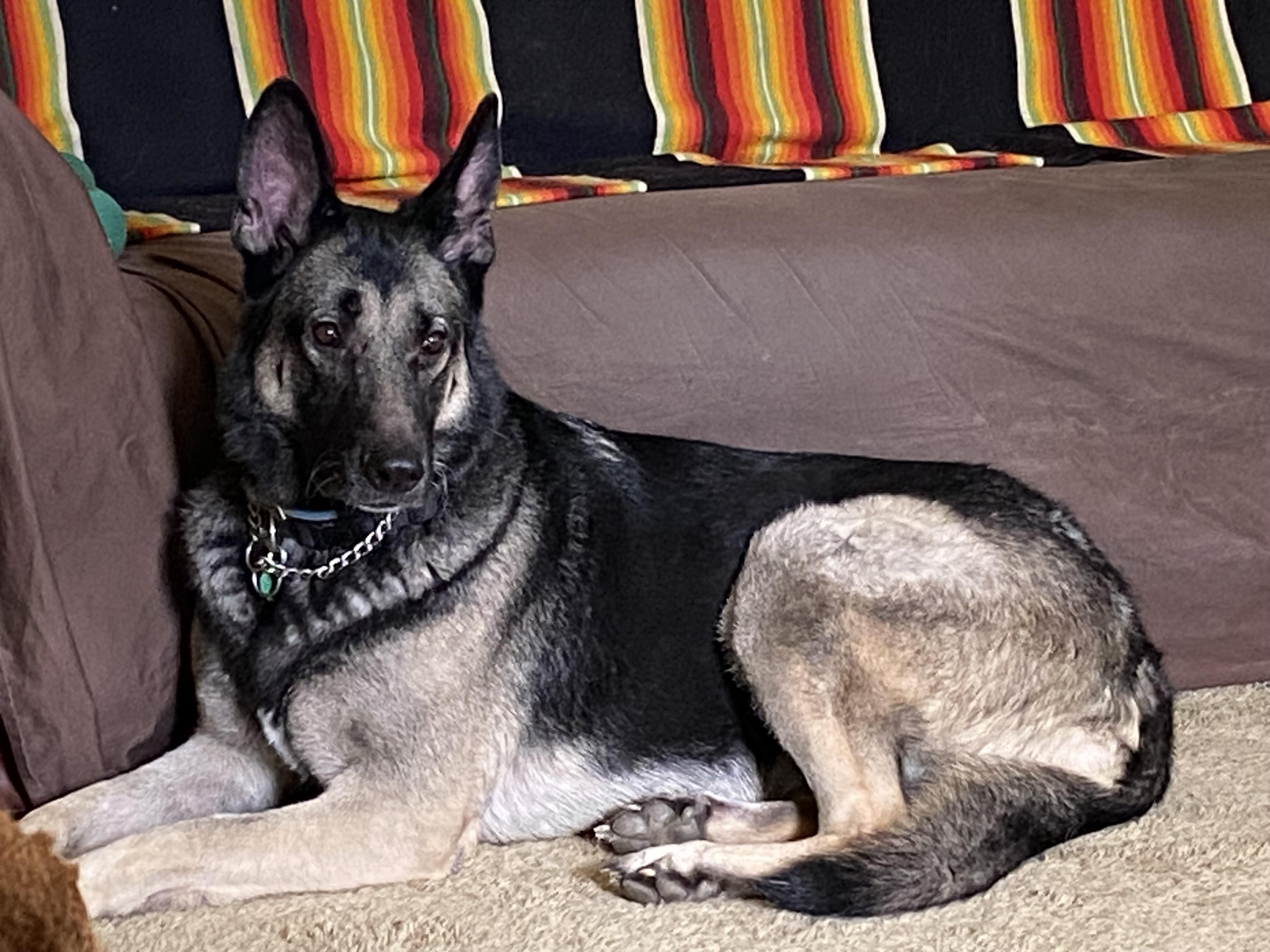 Maya -- Courtesy Post