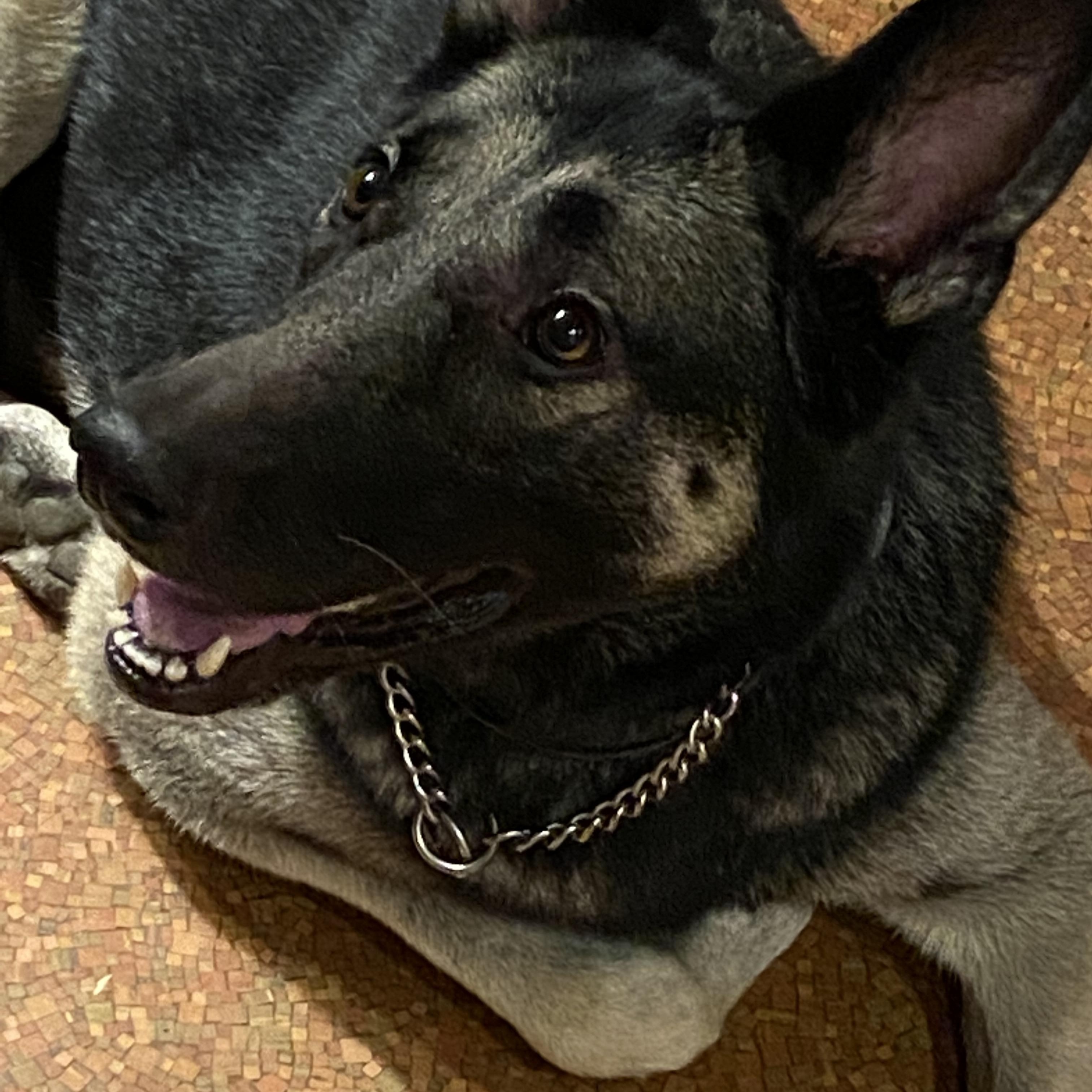 Maya -- Courtesy Post