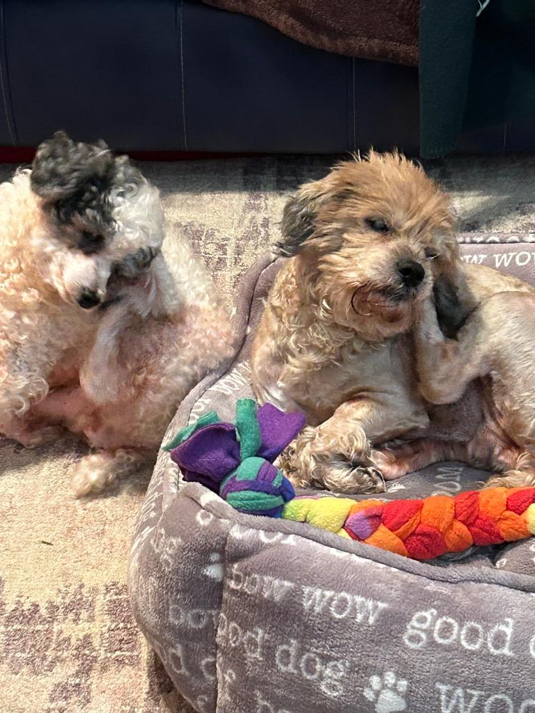 Sleepy — thumbnail 2