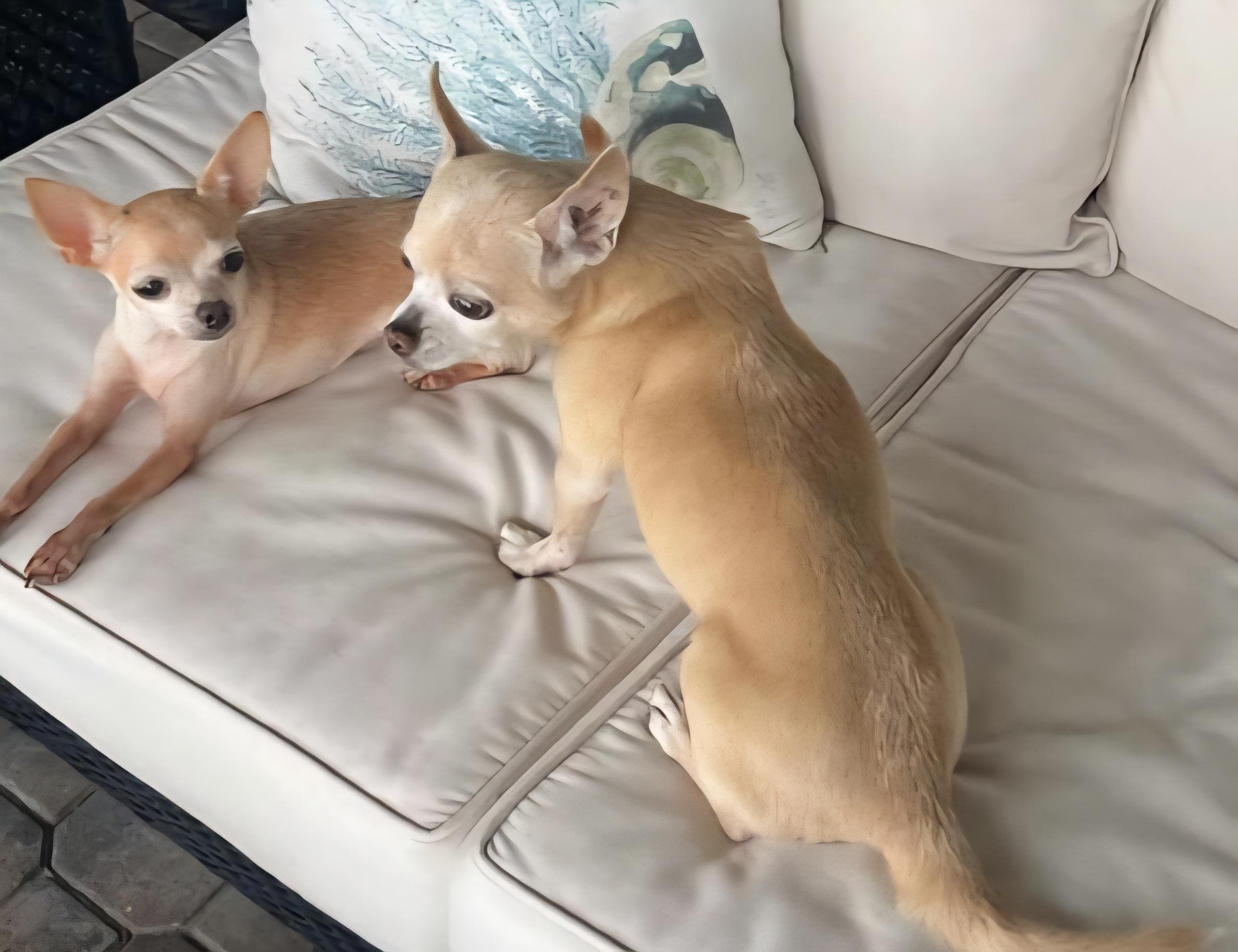 Lola & Lorenzo