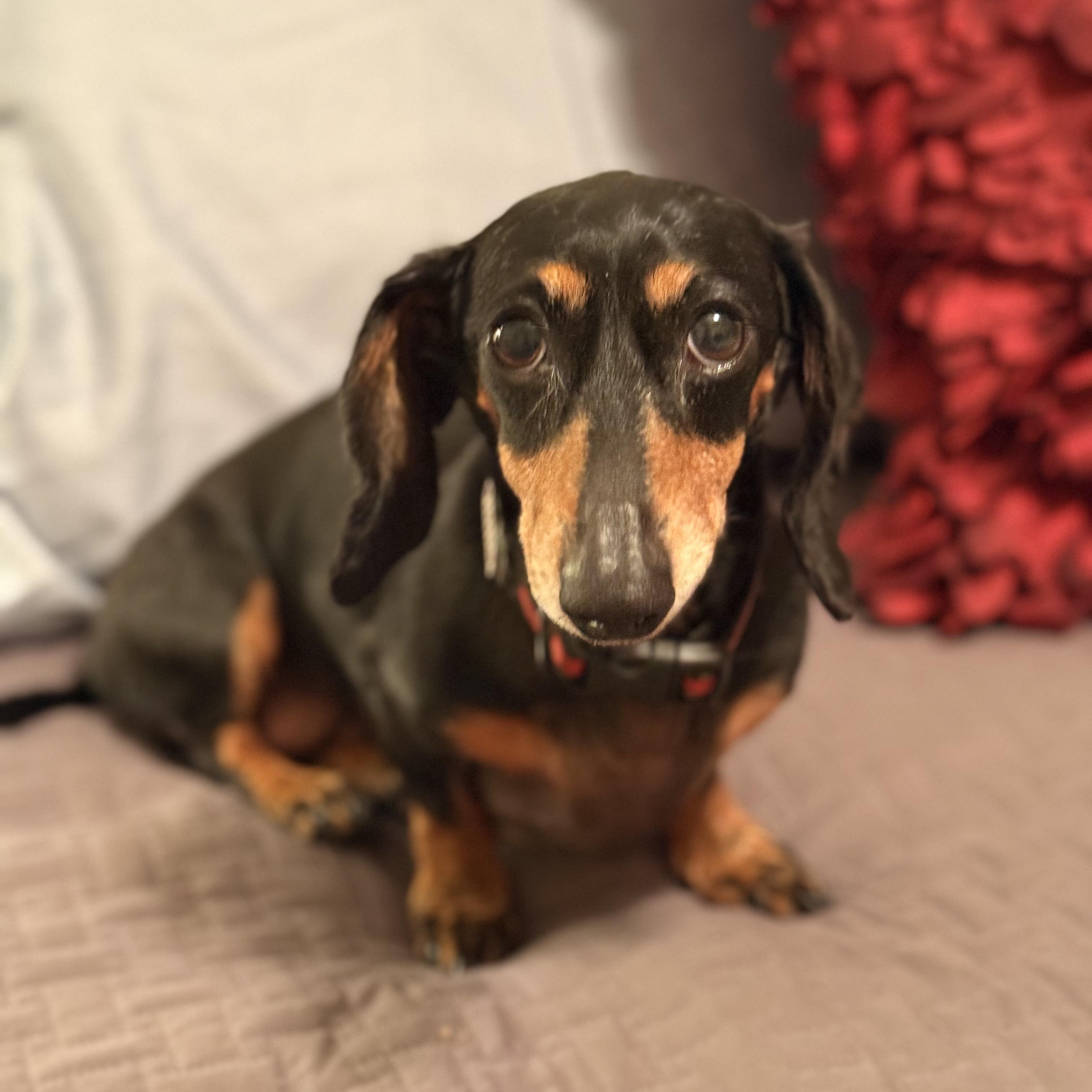 Maggie