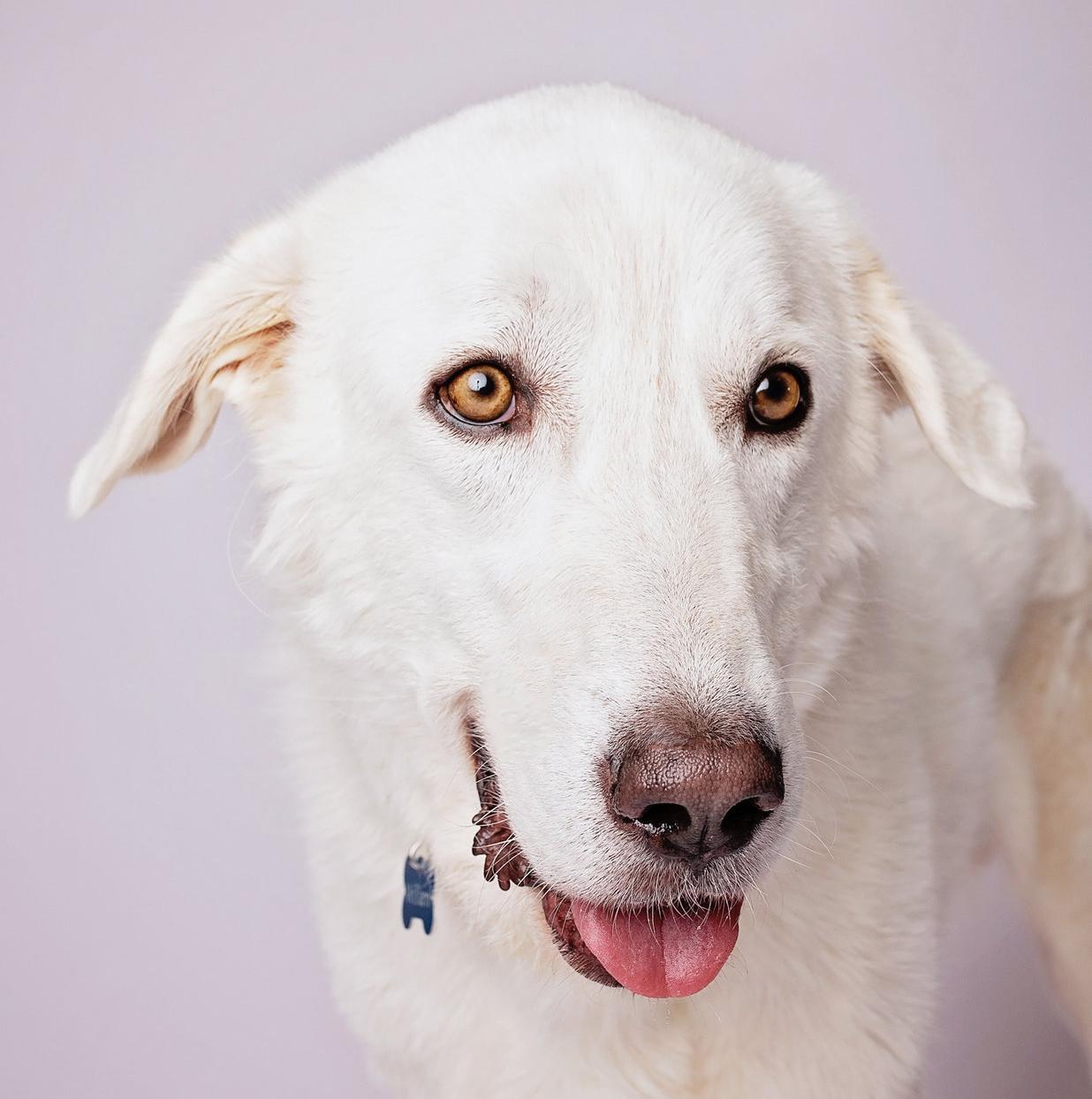 William — thumbnail 3