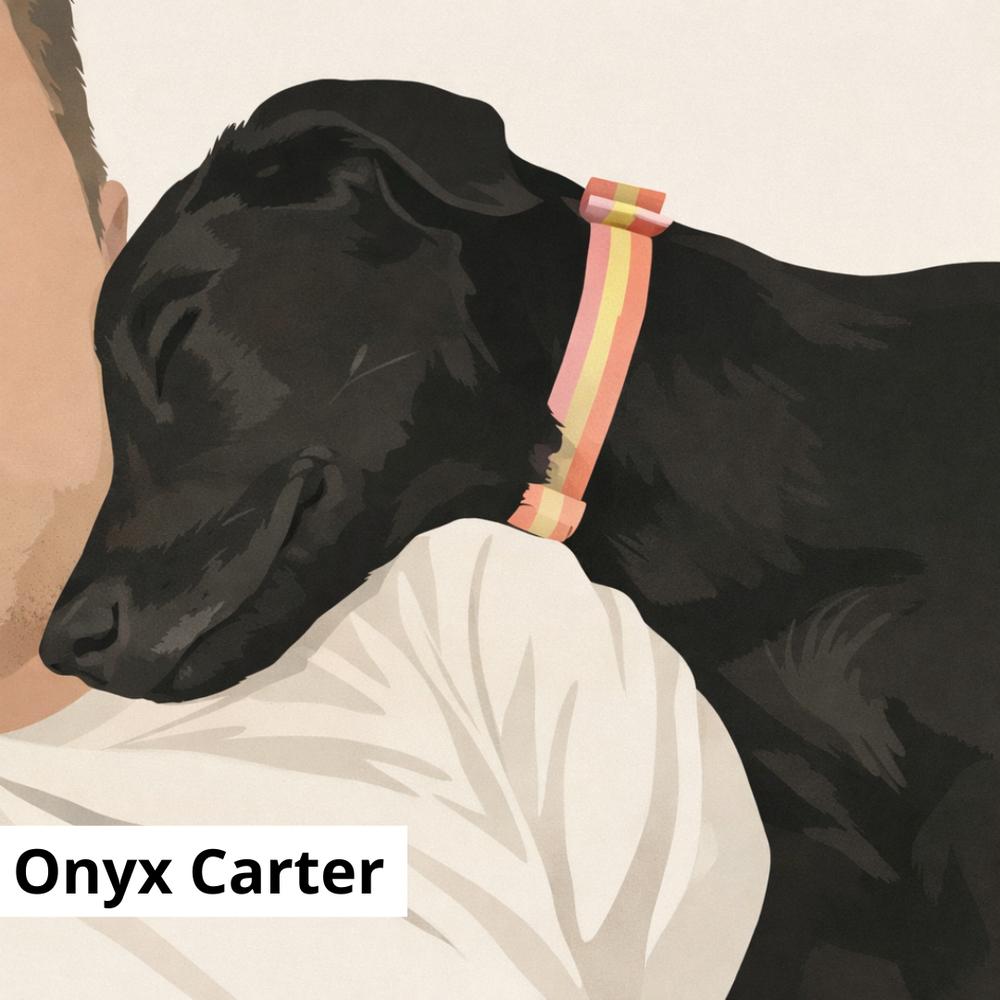 Enlarge Onyx Carter, a Adoptable mixed breed in Columbus, OH image 2/6
