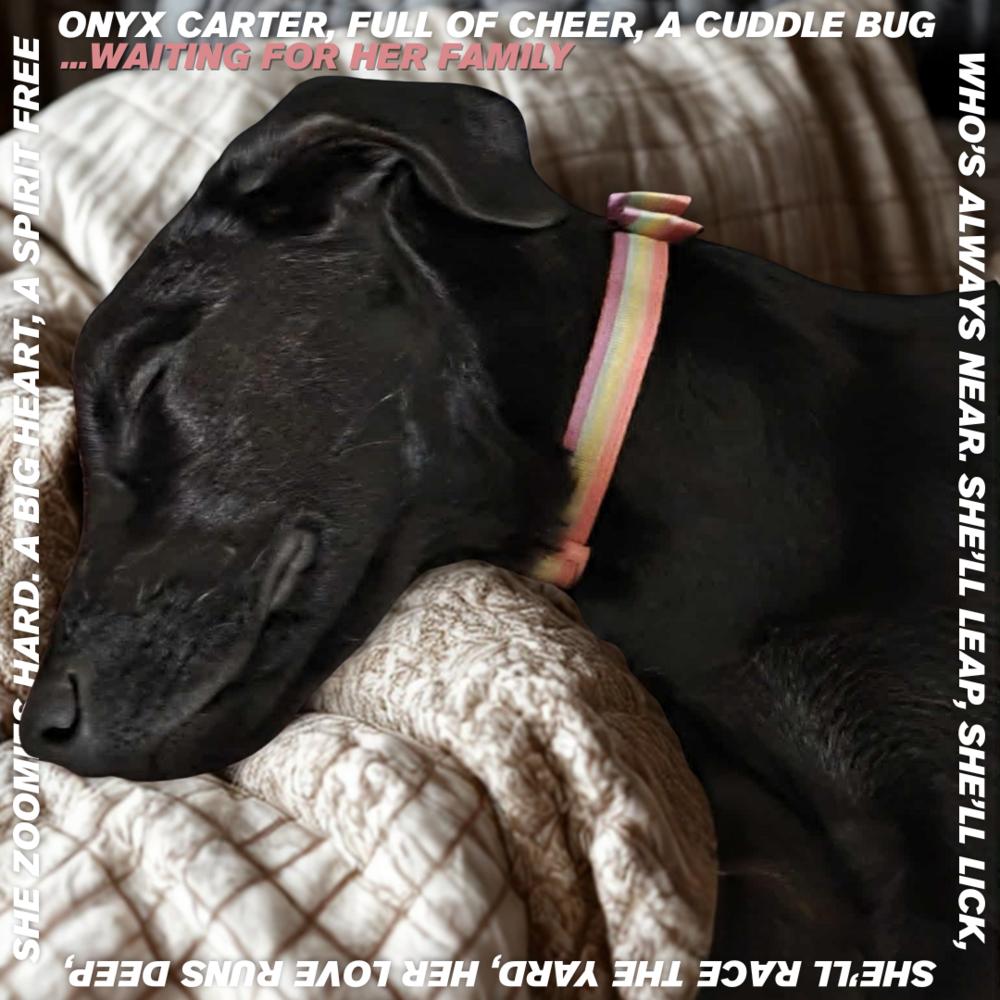 Onyx Carter thumbnail 4