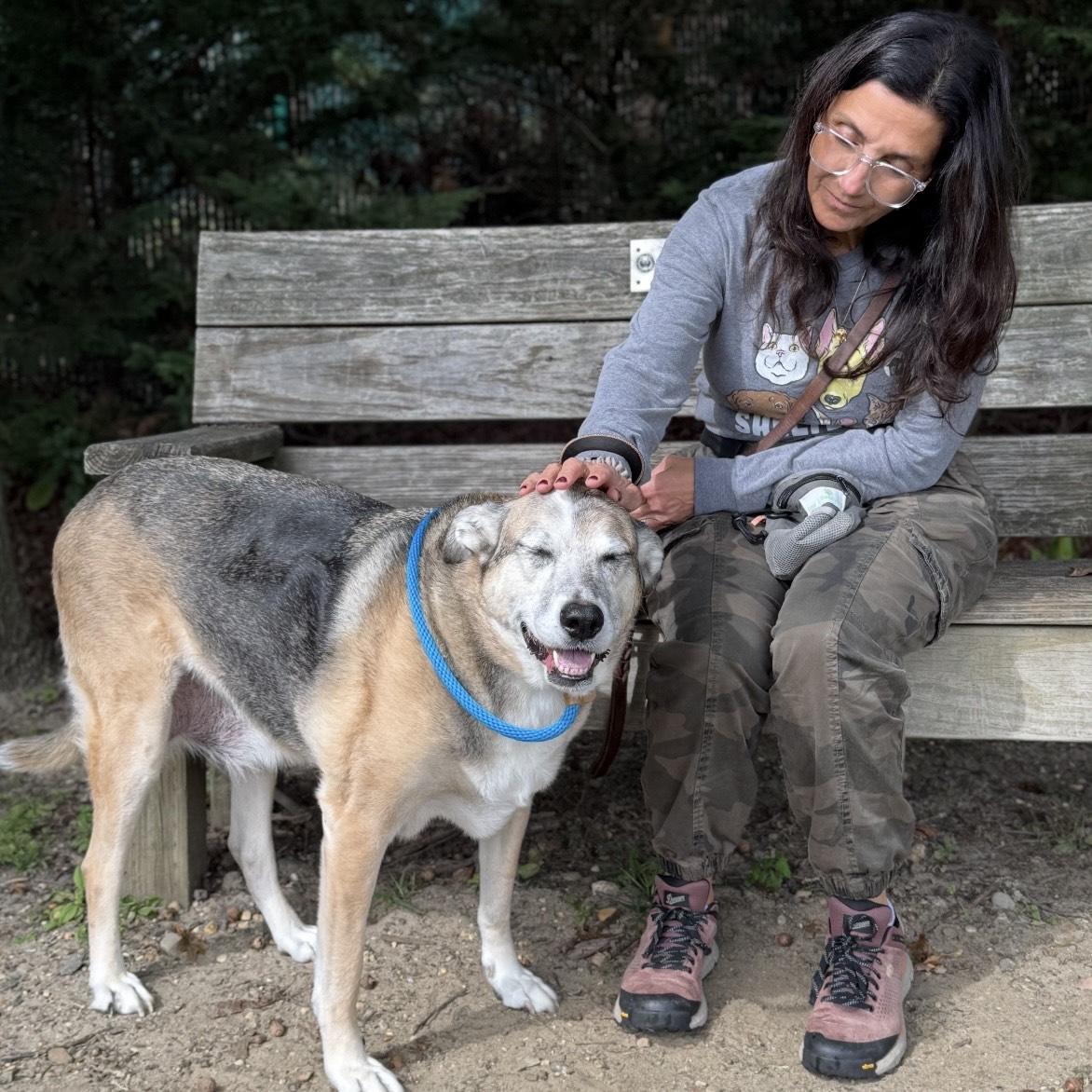 Turk, a Adoptable mixed breed in Eatontown, NJ image 3/5