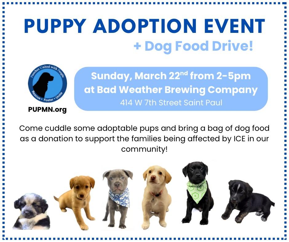 Enlarge Oyster, an adopted mixed breed in Saint Paul, MN image 2/3