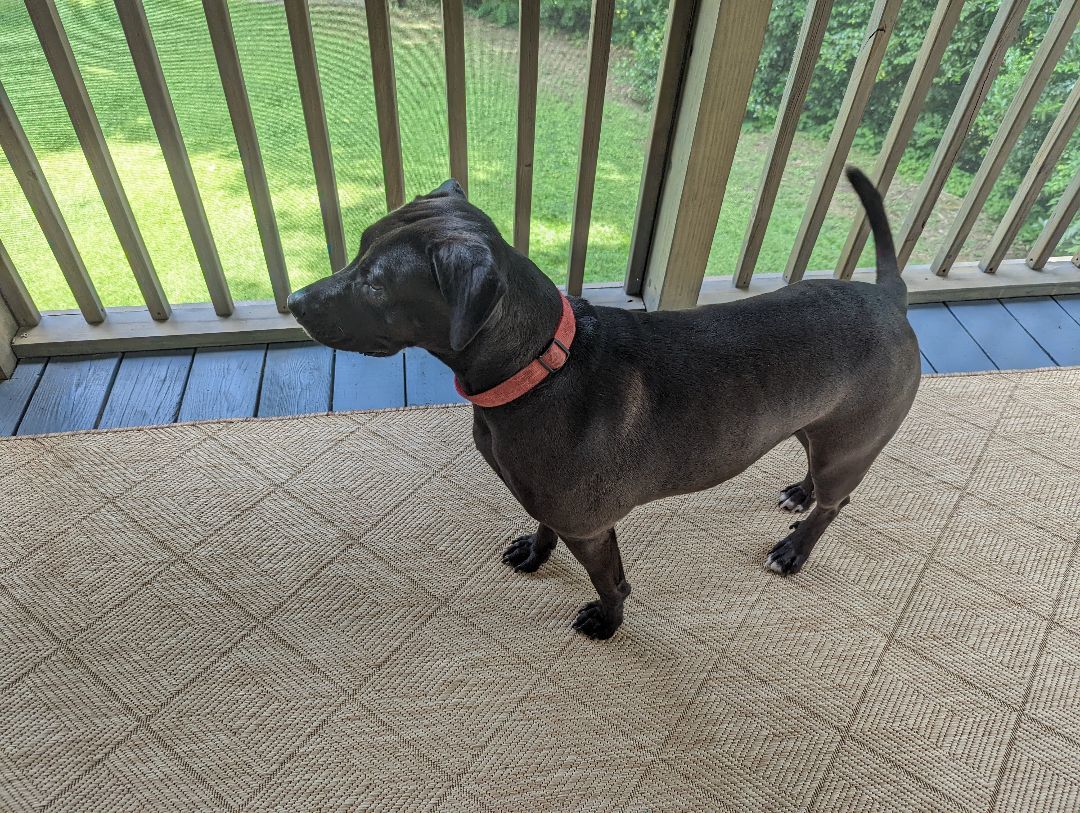 MILLIE photo 3