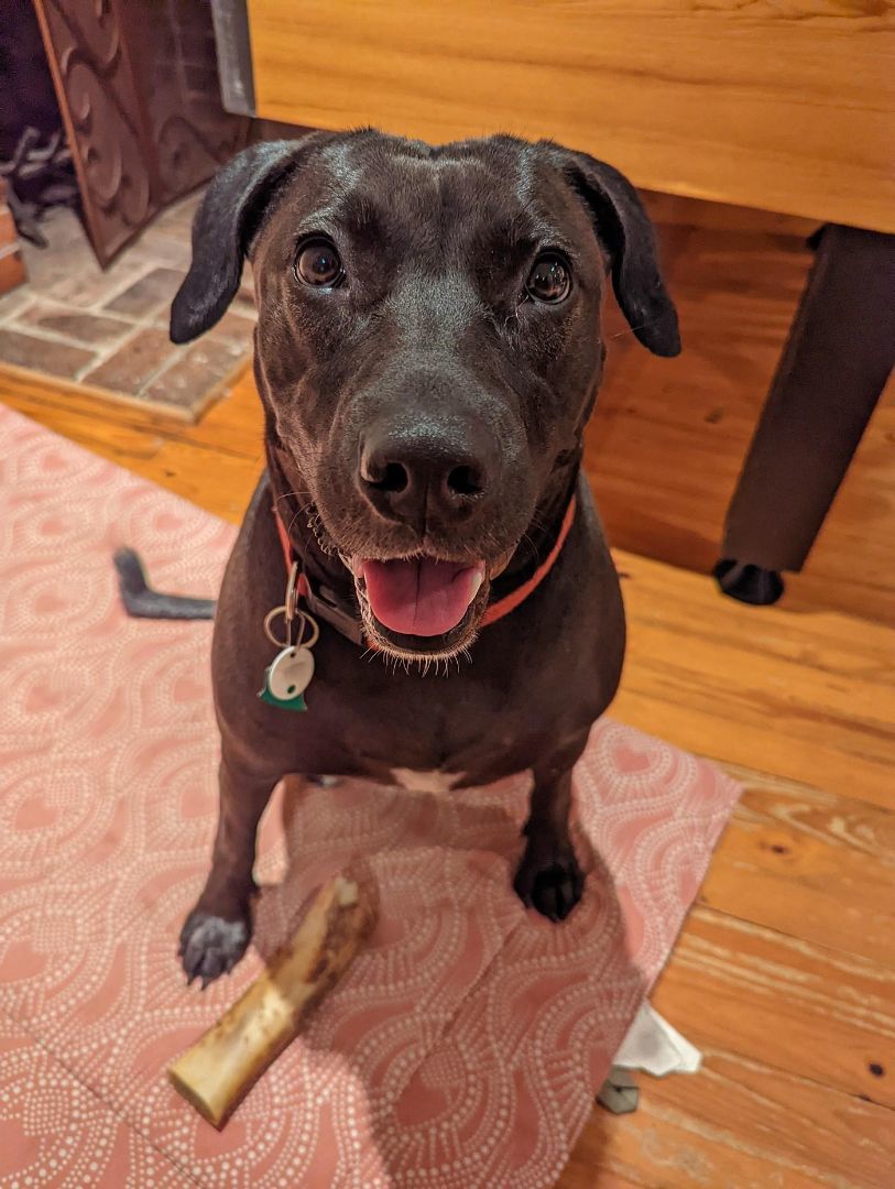 MILLIE photo 2