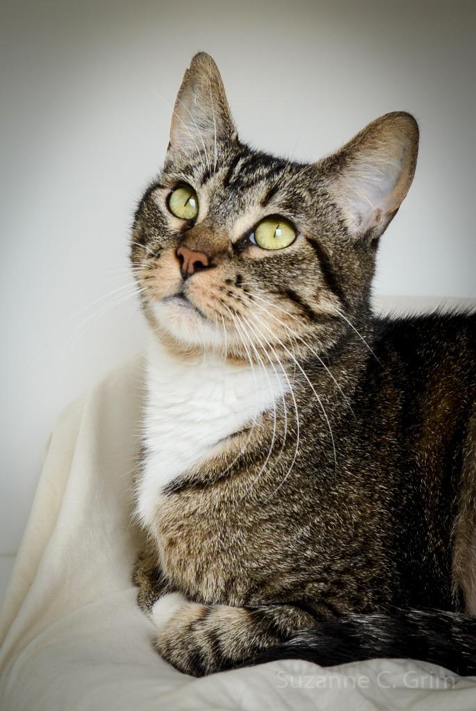 Bonnie