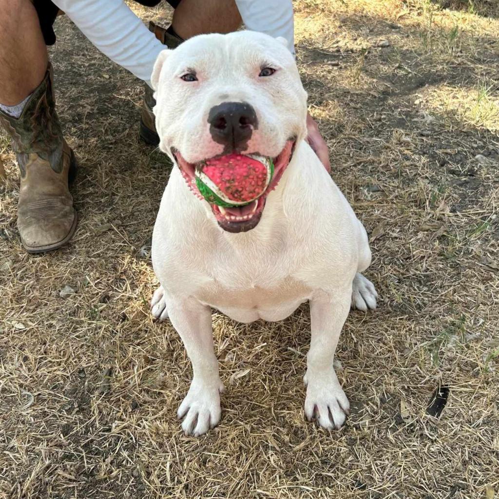 Max Cooper — thumbnail 5