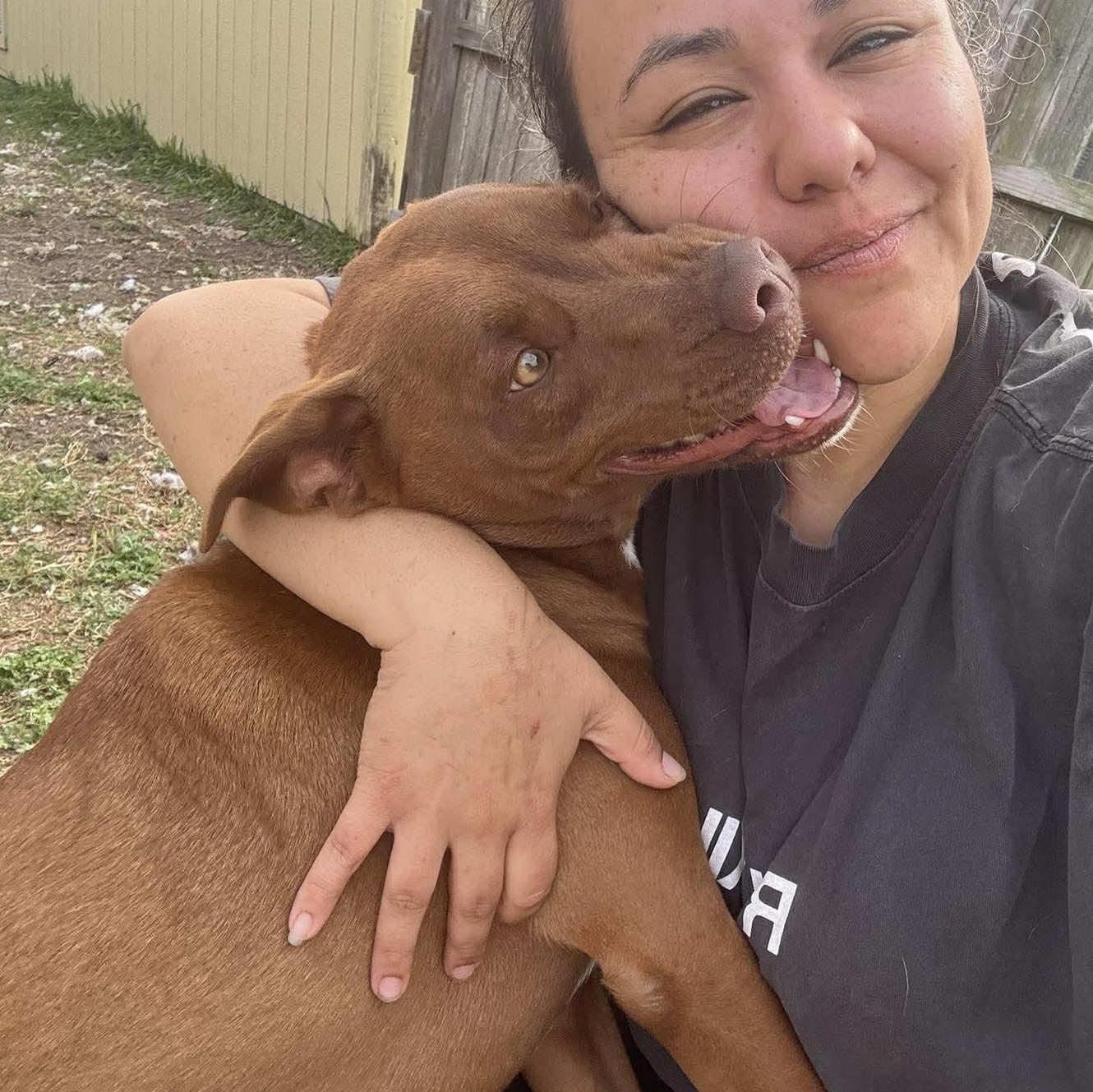 Enlarge Royce, a Adoptable mixed breed in Fort Lupton, CO image 6/6