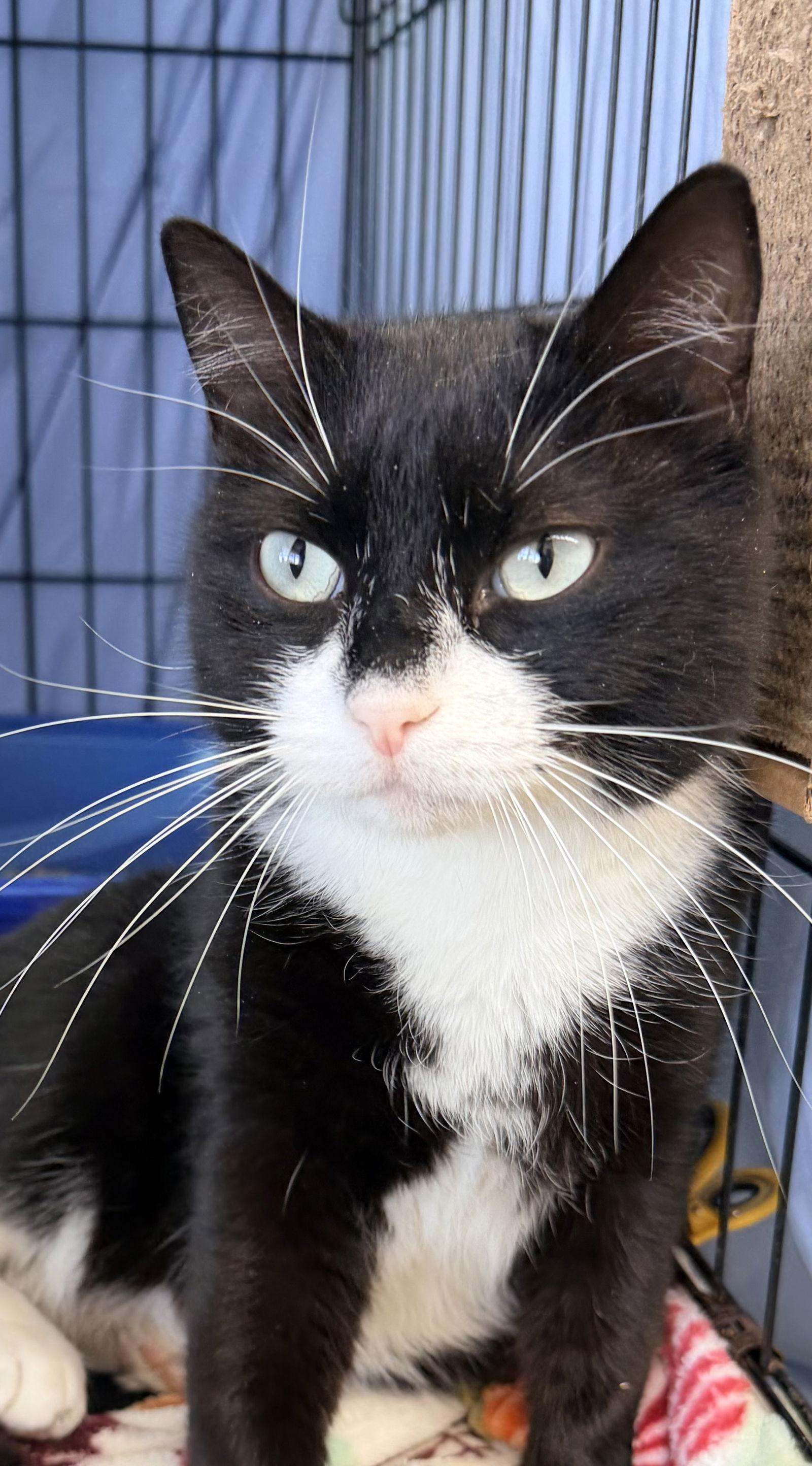 Sydwillow Grove thumbnail 3