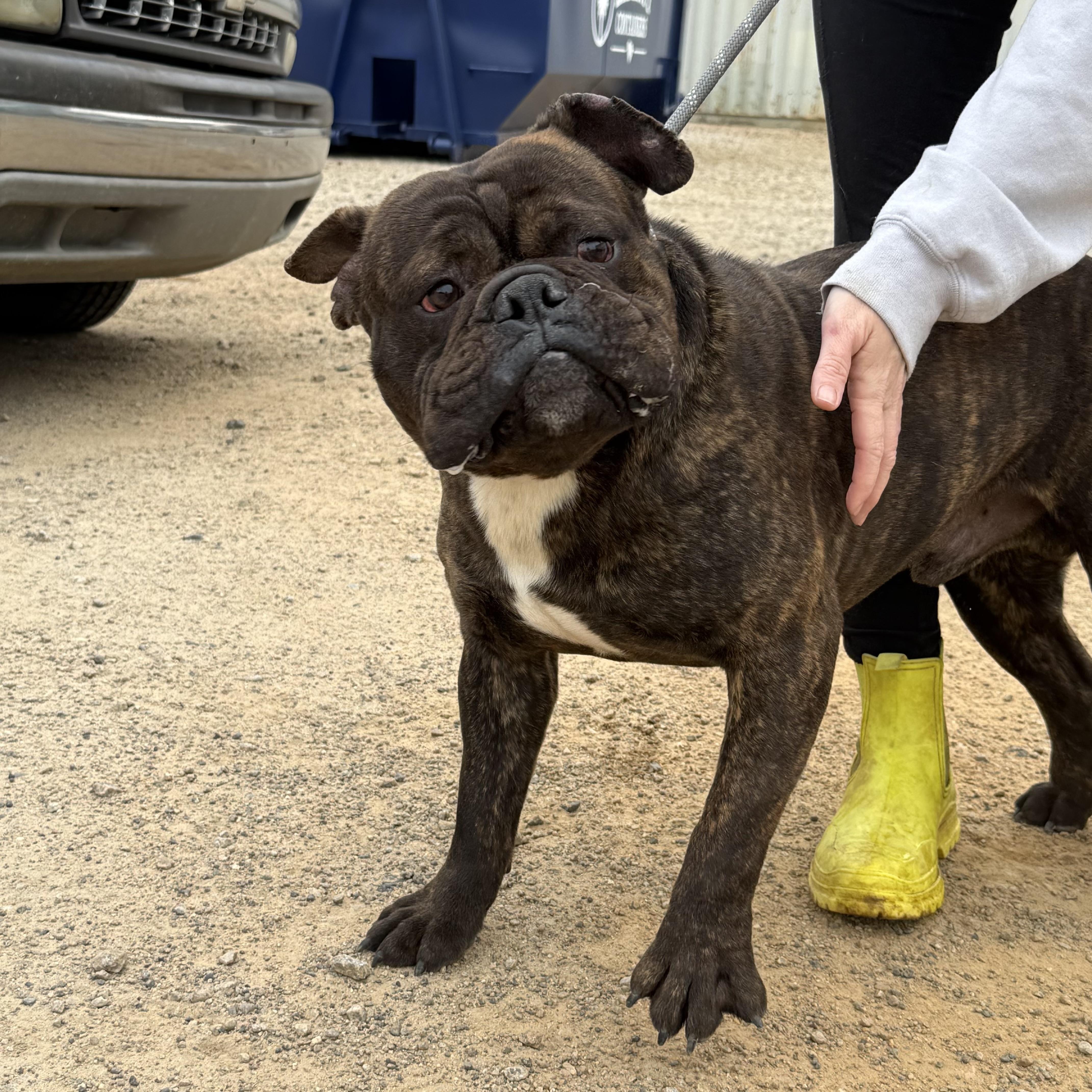 Kash — thumbnail 2